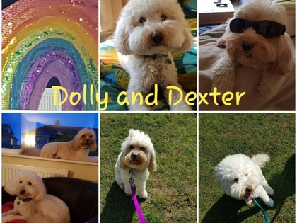 Dolly and dexter